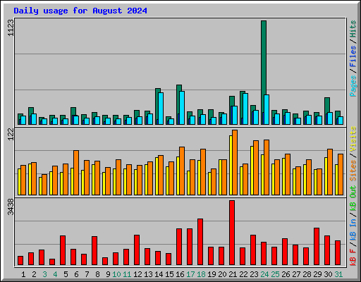 Daily usage for August 2024