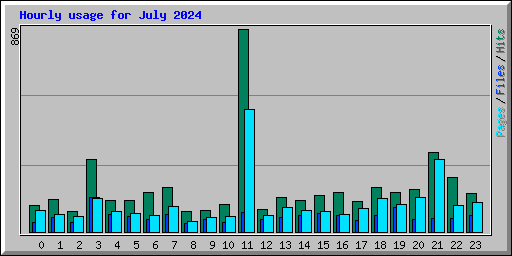 Hourly usage for July 2024