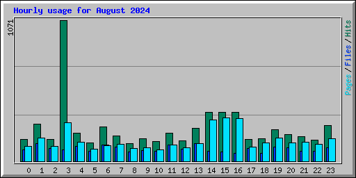 Hourly usage for August 2024