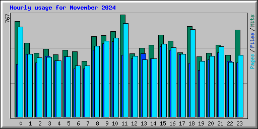 Hourly usage for November 2024