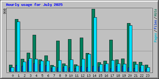 Hourly usage for July 2025