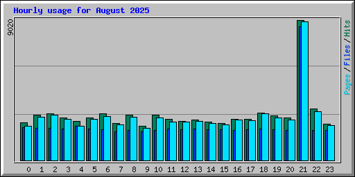 Hourly usage for August 2025