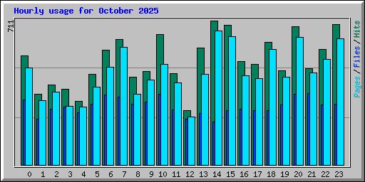 Hourly usage for October 2025
