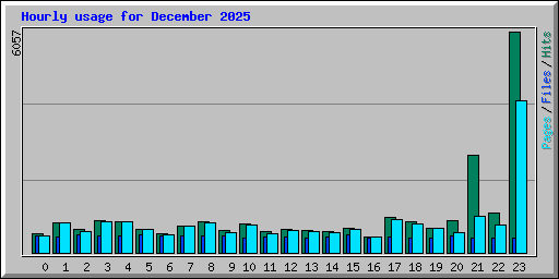Hourly usage for December 2025