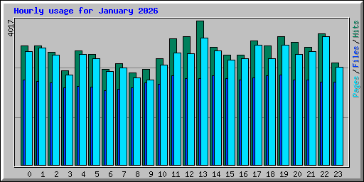 Hourly usage for January 2026