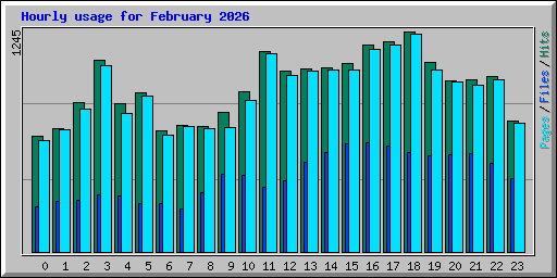 Hourly usage for February 2026