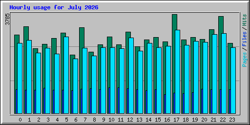 Hourly usage for July 2026
