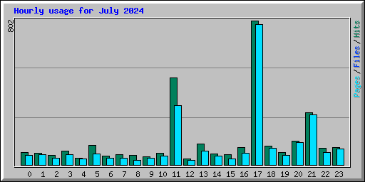 Hourly usage for July 2024