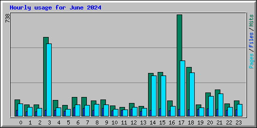 Hourly usage for June 2024