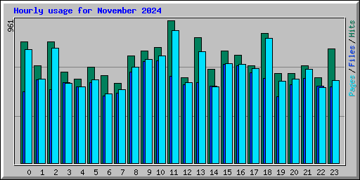 Hourly usage for November 2024