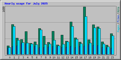 Hourly usage for July 2025