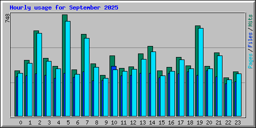 Hourly usage for September 2025