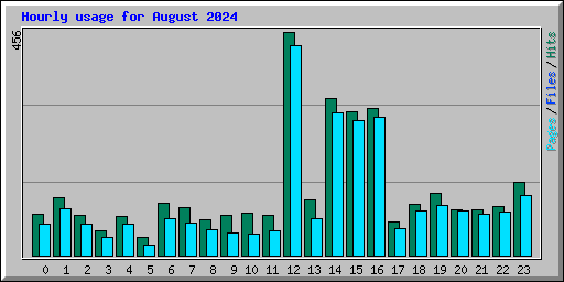 Hourly usage for August 2024