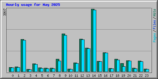 Hourly usage for May 2025