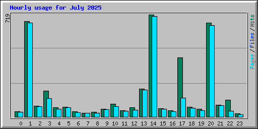 Hourly usage for July 2025
