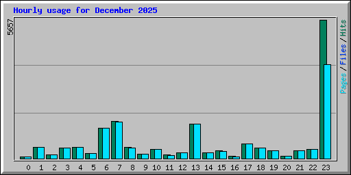 Hourly usage for December 2025