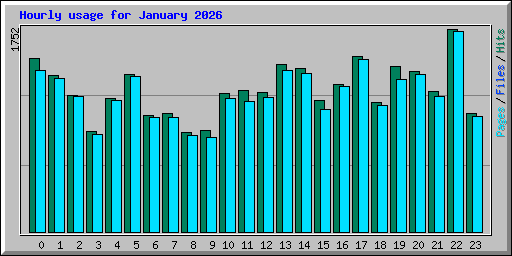Hourly usage for January 2026